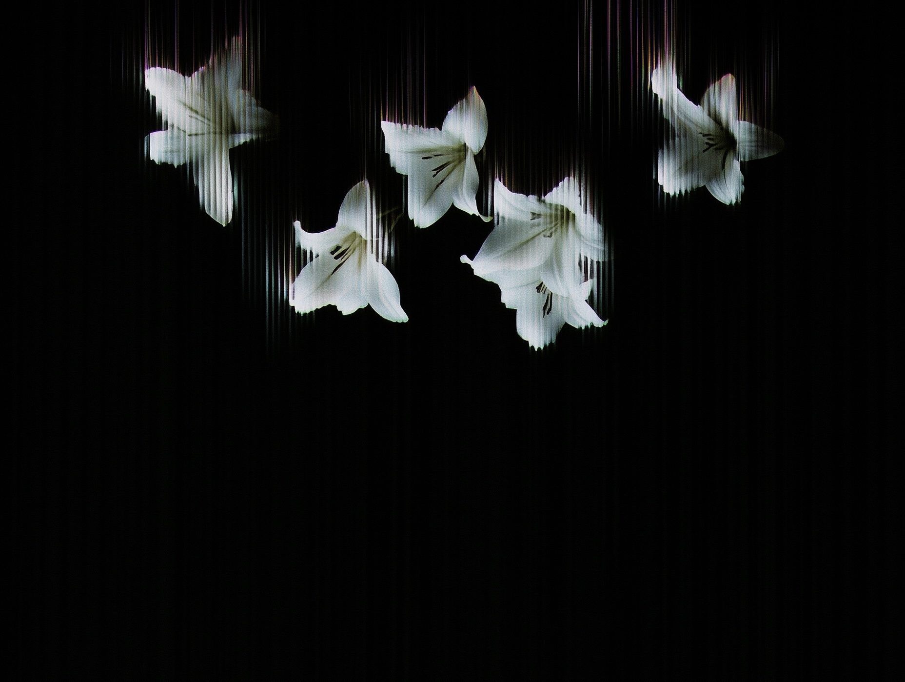 Anovis AI - AI Transformation Partner